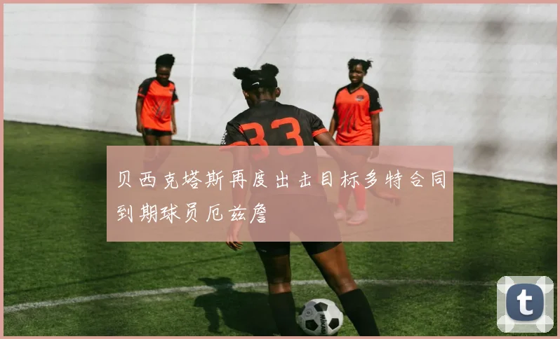 贝西克塔斯再度出击目标多特合同到期球员厄兹詹